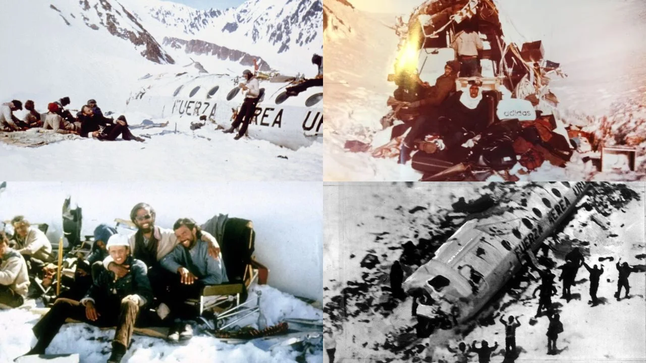 multimedia.normal.98b843bb058a959a.aW1hZ2VuXzIwMjQtMDItMDhfMDkzNjAzNTczX25vcm1hbC5wbmc=