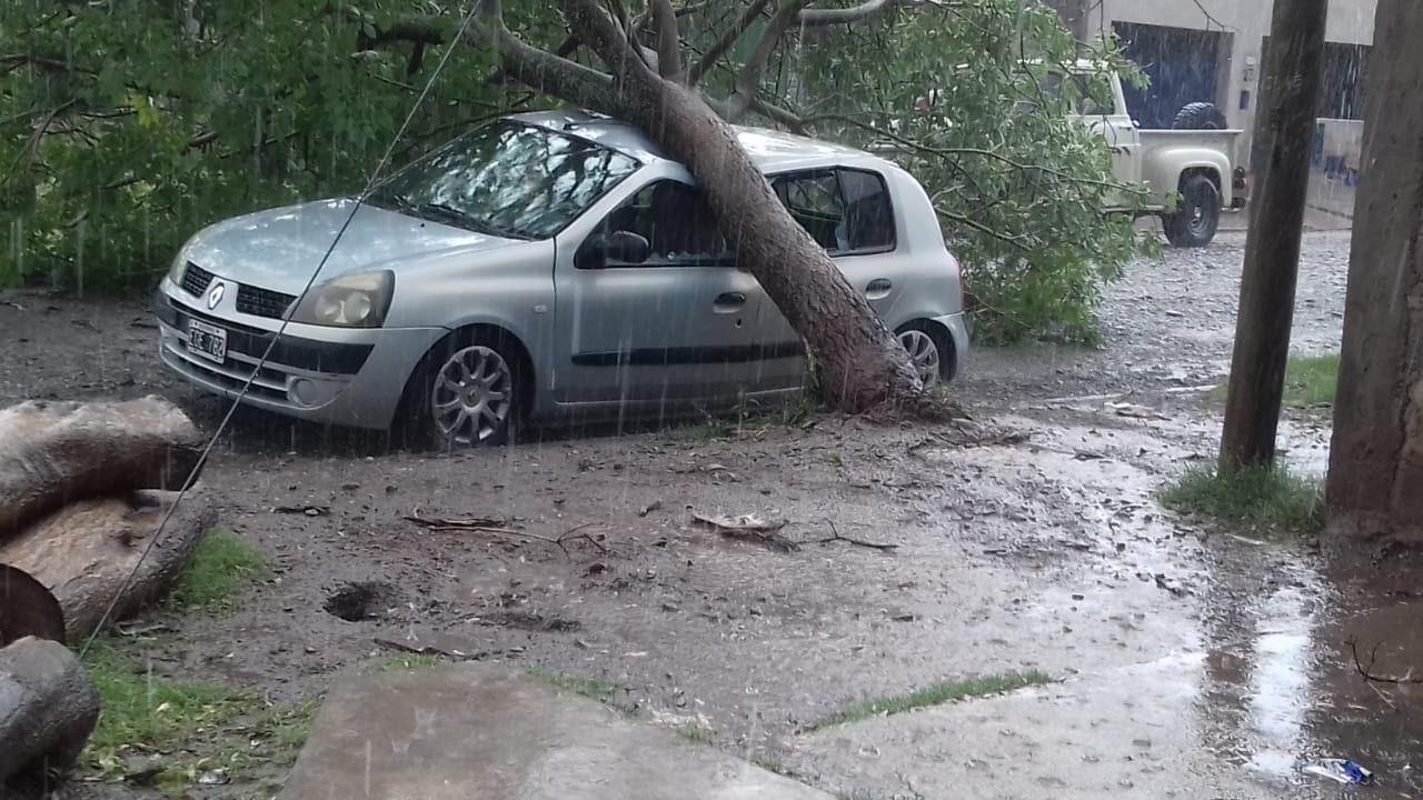 auto aplastado