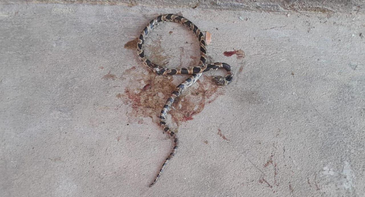 73779fc5-e2c1-4973-981f-1513c4567faf