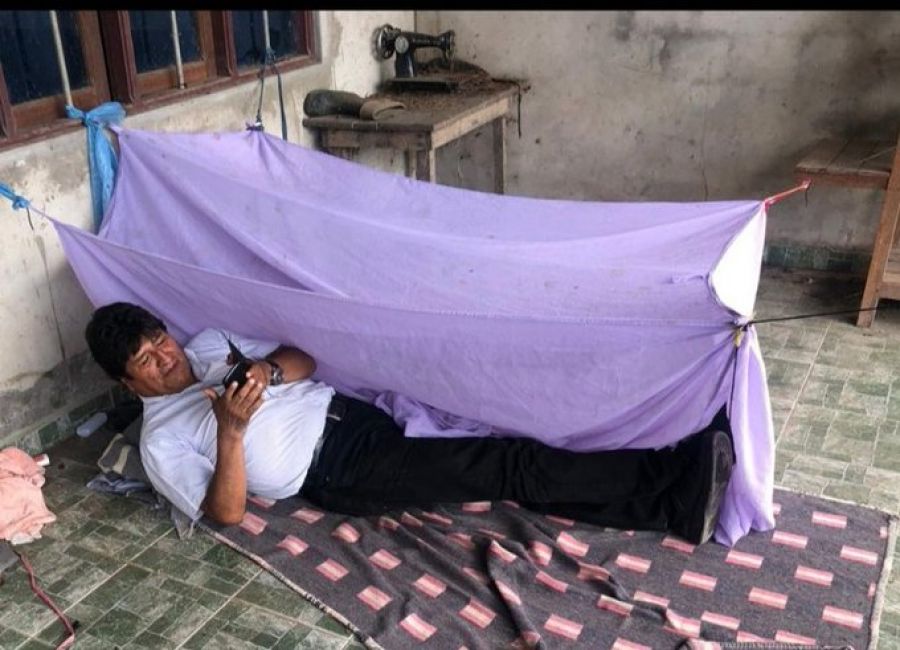 evo duerme en el piso