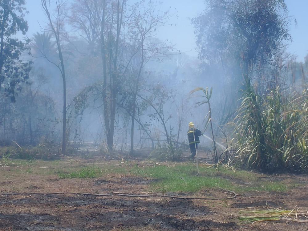 incendios forestales