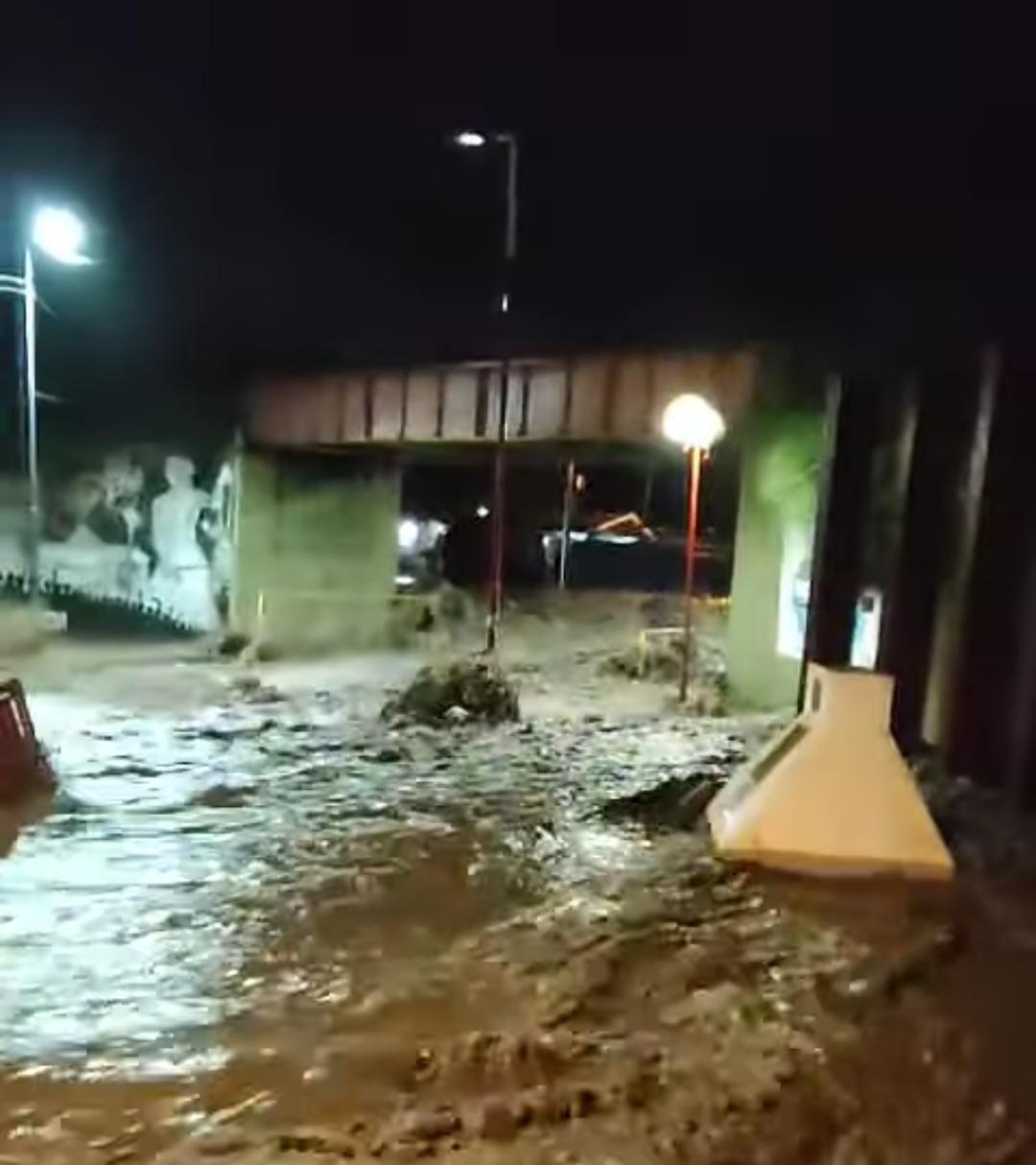 WhatsApp Image 2024-03-19 at 10.11.58 AM (1)