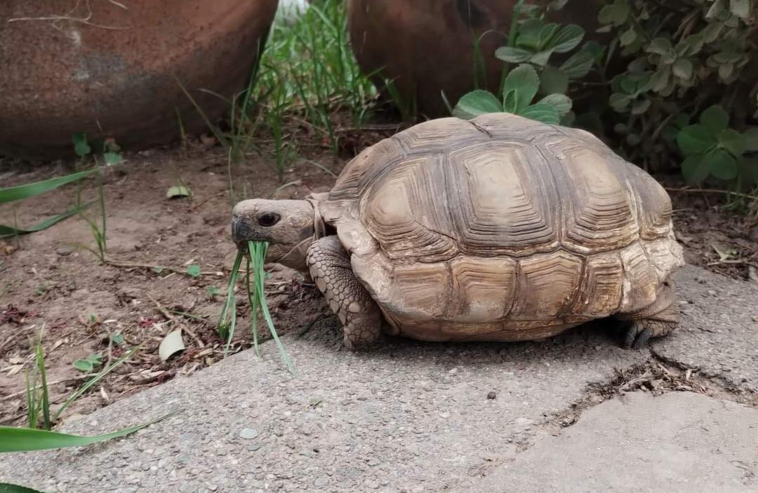 7f4190e6-3c86-4a0e-820d-7cdef4f32100