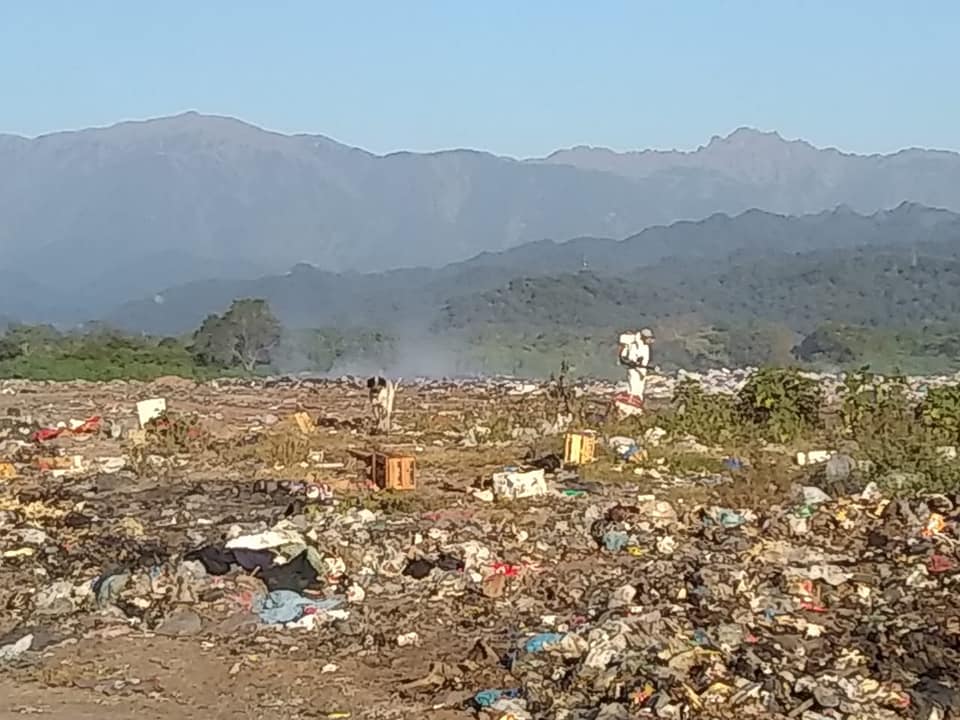 msocas