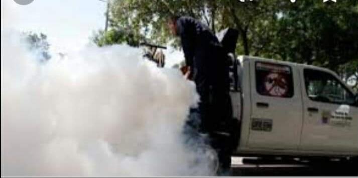 fumigacion
