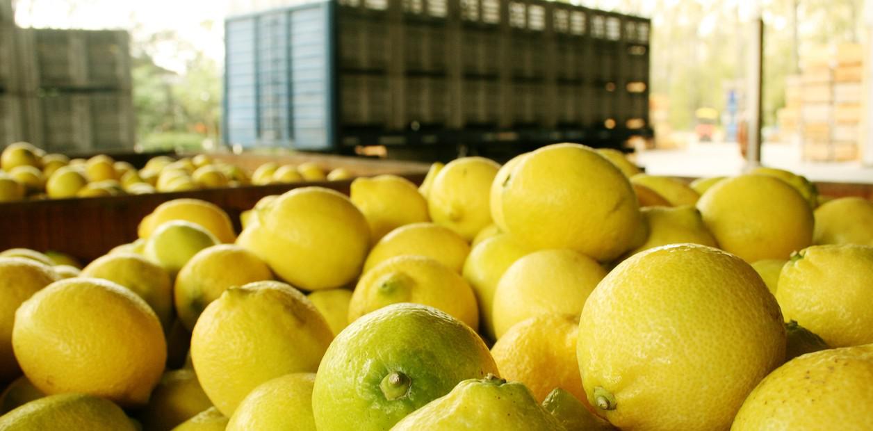 limones