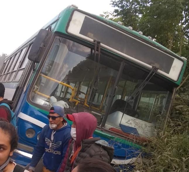 colectivo