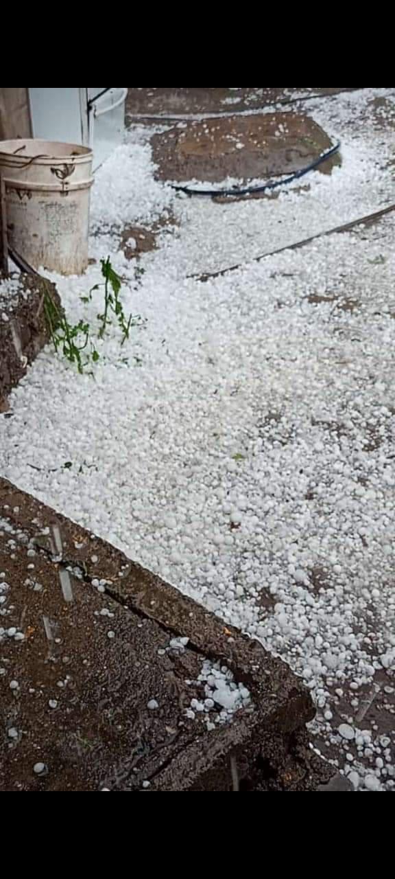 FB_IMG_1667156298274