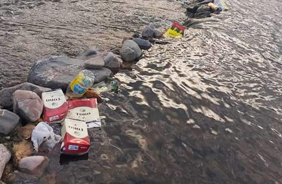 490b86b6-6afc-4a90-a9d0-331b97bed46d