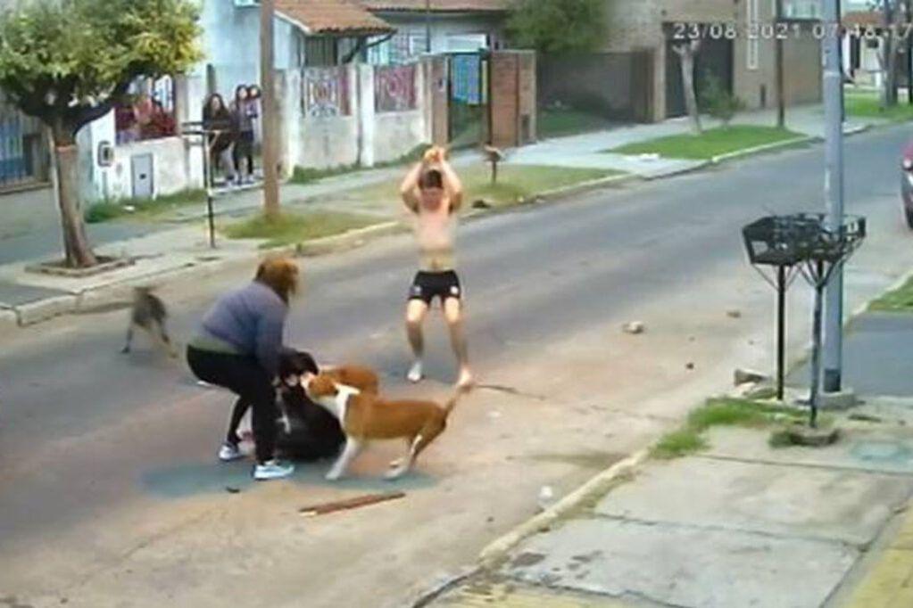 ataque de perros