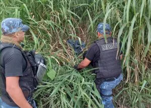 WhatsApp-Image-2024-12-25-at-8.00.41-PM-2-300x215