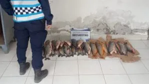 93d95f4f-83e8-4365-8b1d-b4d6b654e9b2