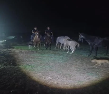 WhatsApp Image 2026-03-23 at 6.53.10 PM