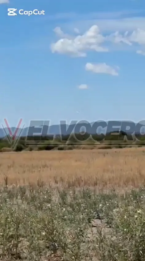 WhatsApp Video 2025-11-04 at 9.42.45 PM