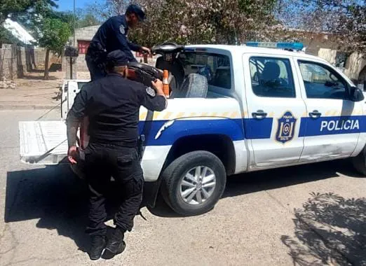 856cc007-55db-43dc-9e9d-87db7eb1cff7