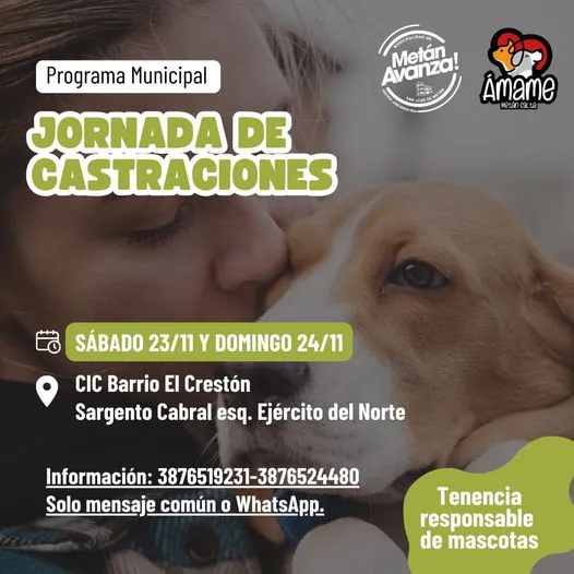 465229333_867641868888172_6070797579627860971_n