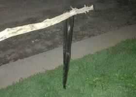 d8a7046b-ee83-4cb0-b6b6-13ba8ed93070