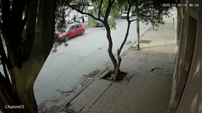 WhatsApp Video 2025-12-29 at 09.01.31