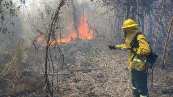 104042-intenso-trabajo-de-seguridad-para-sofocar-un-amplio-incendio-de-pastizales-en-tartagal