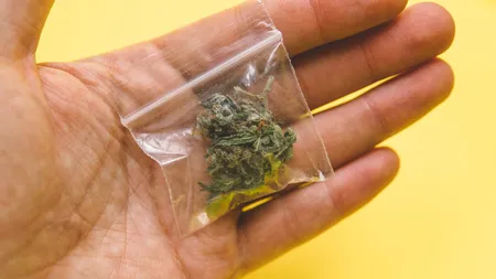 114217408-primer-plano-de-tricomas-en-marihuana-dispensario-de-marihuana-para-pequeñas-empresas-en-estados