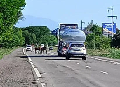 dbc20e1f-56ee-4eba-a978-46743dc9f236