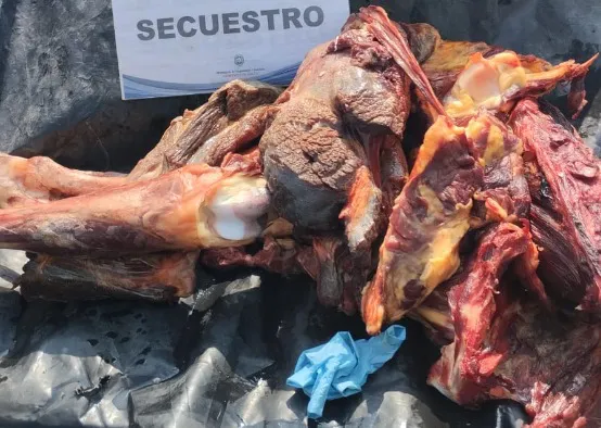 248ba0d0-051a-41d7-a7e7-4a007437303f