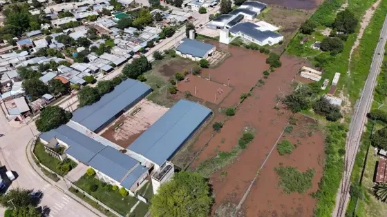 WhatsApp Image 2026-02-10 at 6.17.21 PM