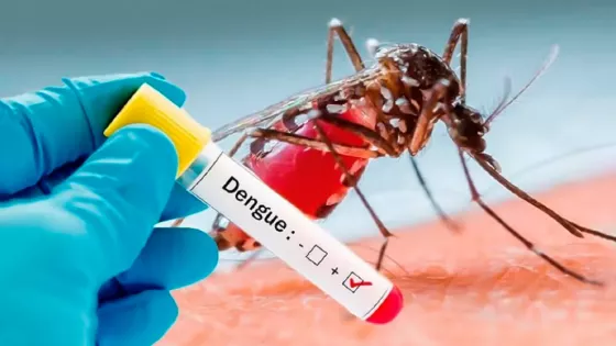 100417-son-ocho-los-casos-confirmados-de-dengue-en-la-presente-temporada-en-salta