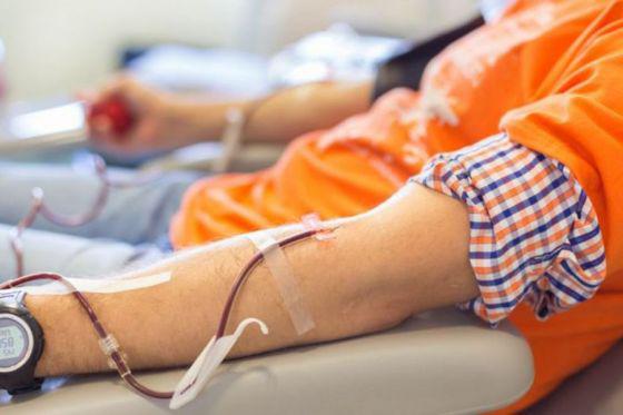 multimedia.miniatura.9abae5b5202c14e9.646f6e612073616c6772655f6d696e6961747572612e6a7067