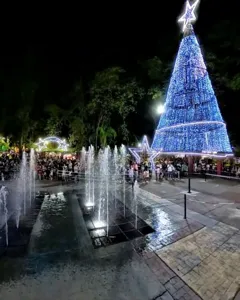 WhatsApp Video 2025-12-24 at 10.54.36