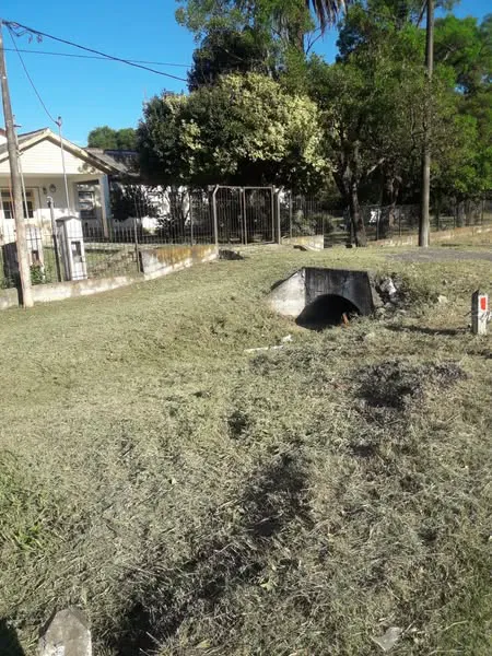 480563835_942601751392183_2425402668561557871_n