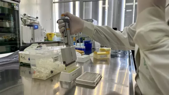 100941-confirman-tres-nuevos-casos-de-dengue-en-salta