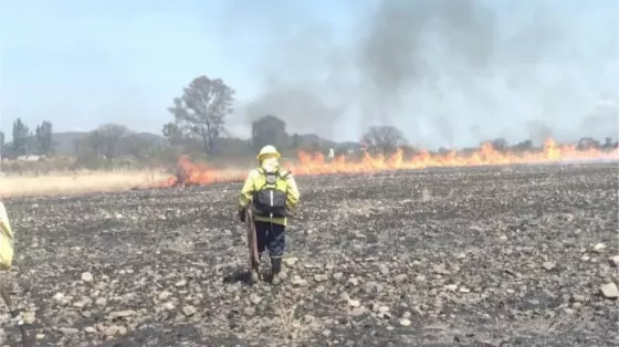 103953-trabajo-de-sofocamiento-por-incendio-forestal-en-la-zona-sur-de-la-ciudad