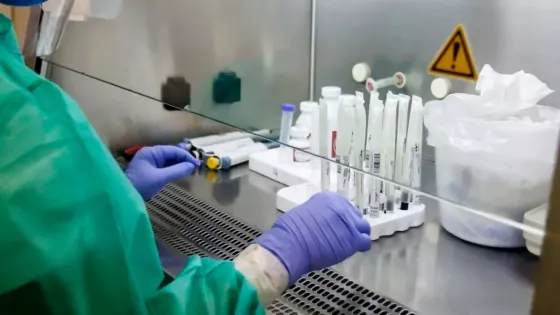 105731-en-salta-no-se-confirmaron-casos-de-la-variante-k-del-virus-influenza-a