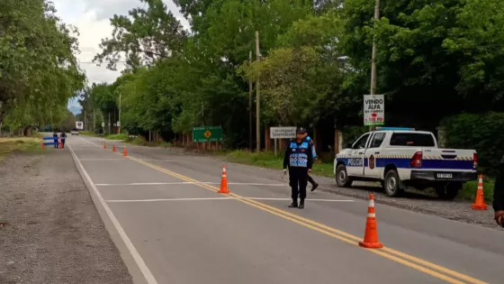 105352-seguridad-vial-sanciono-a-mas-de-180-conductores-alcoholizados