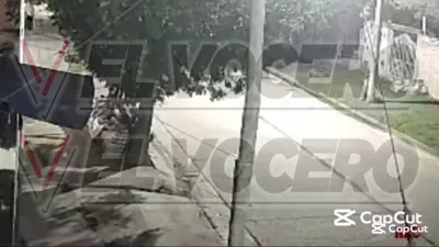 WhatsApp Video 2026-01-15 at 19.01.32