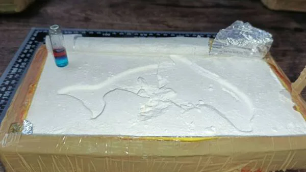 Detuvieron-en-Salta-a-un-hombre-que-transportaba-mas-de-65-kilos-de-cocaina-ocultos-en-una-camioneta