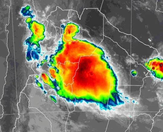 WhatsApp Image 2026-02-19 at 8.00.16 PM