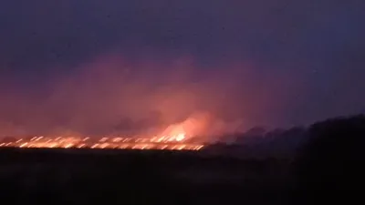 WhatsApp Video 2025-11-19 at 8.17.54 PM