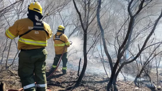102901-trabajo-de-sofocamiento-por-incendio-forestal-en-el-cerro-san-bernardo