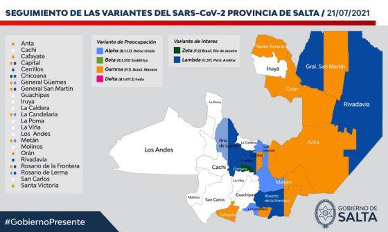 77199-son-4-las-variantes-de-coronavirus-que-se-identificaron-en-salta