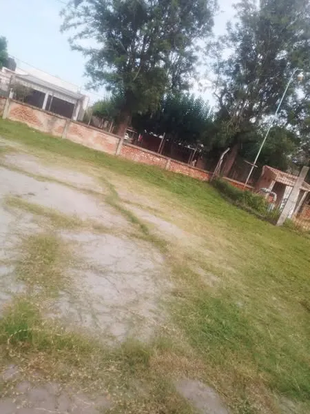 477938386_122111781818727525_7089020385089380020_n