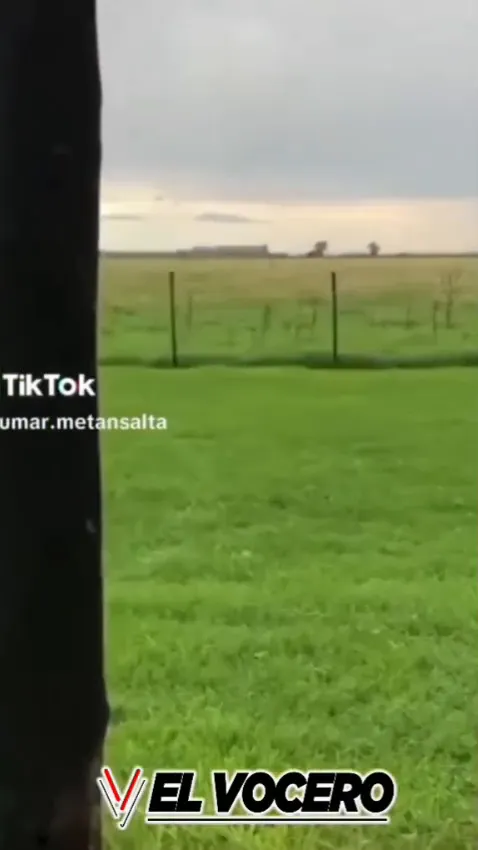 WhatsApp Video 2025-06-13 at 20.22.45