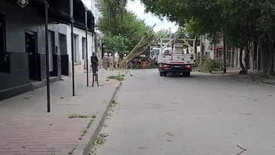 WhatsApp Video 2025-11-21 at 10.04.41 AM