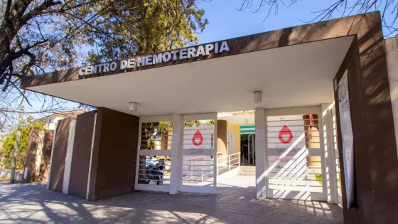 103234-el-centro-de-hemoterapia-en-el-tercer-lugar-por-cantidad-de-donantes-de-medula-osea