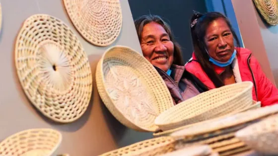 102110-ganadores-seleccionados-por-el-fondo-ciudadano-2025