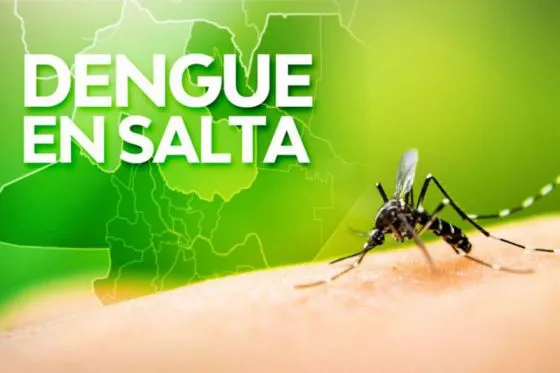 82063-epidemiologia-notifico-73-nuevos-casos-de-dengue-en-salta