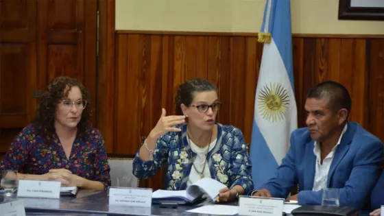 100556-fiore-ante-senadores-los-procesos-administrativos-docentes-no-pueden-estar-sujetos-a-discrecionalidades