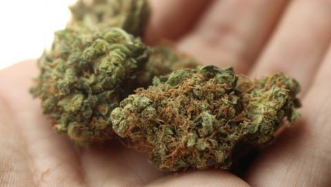 secuestro marihuana