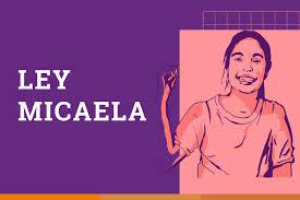 ley micaela